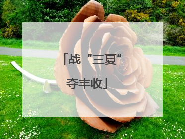 战“三夏” 夺丰收