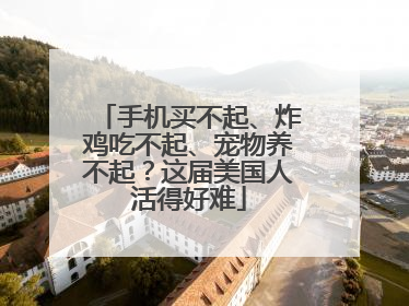 手机买不起、炸鸡吃不起、宠物养不起？这届美国人活得好难