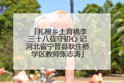 扎根乡土育桃李 三十八载守初心 记河北省宁晋县耿庄桥学区教师张志涛