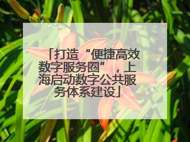 打造“便捷高效数字服务圈”，上海启动数字公共服务体系建设