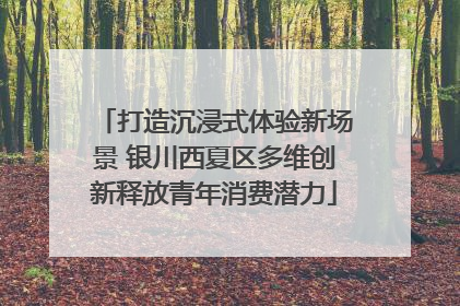 打造沉浸式体验新场景 银川西夏区多维创新释放青年消费潜力