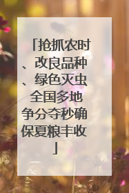 抢抓农时、改良品种、绿色灭虫 全国多地争分夺秒确保夏粮丰收
