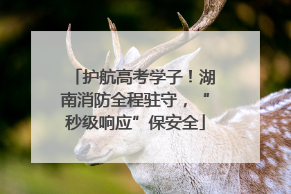 护航高考学子！湖南消防全程驻守，“秒级响应”保安全