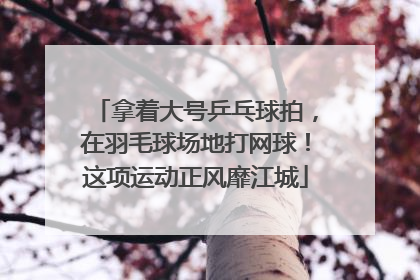 拿着大号乒乓球拍，在羽毛球场地打网球！这项运动正风靡江城