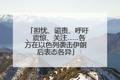 担忧、谴责、呼吁、震惊、关注……各方在以色列袭击伊朗后表态各异