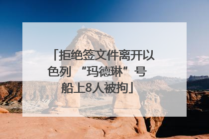 拒绝签文件离开以色列 “玛德琳”号船上8人被拘