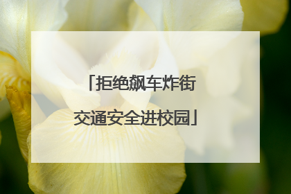 拒绝飙车炸街 交通安全进校园