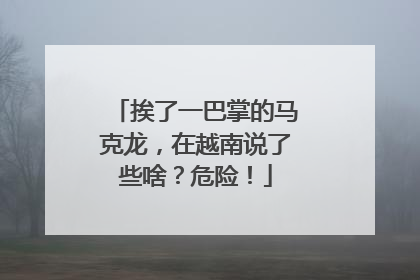 挨了一巴掌的马克龙，在越南说了些啥？危险！