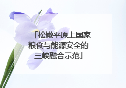 松嫩平原上国家粮食与能源安全的三峡融合示范