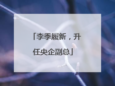 李季履新，升任央企副总