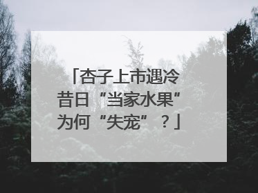 杏子上市遇冷 昔日“当家水果”为何“失宠”？