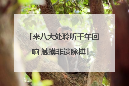 来八大处聆听千年回响 触摸非遗脉搏