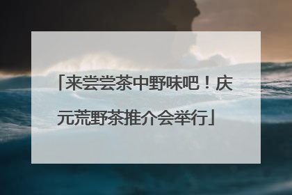 来尝尝茶中野味吧！庆元荒野茶推介会举行