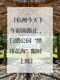 杭州今天下午起雨渐止，白塔公园“绣球花海”限时上线