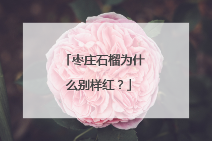 枣庄石榴为什么别样红？