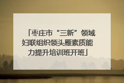 枣庄市“三新”领域妇联组织领头雁素质能力提升培训班开班