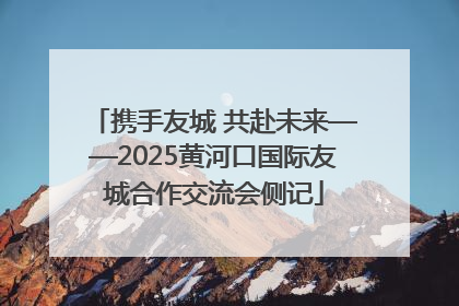 携手友城 共赴未来——2025黄河口国际友城合作交流会侧记