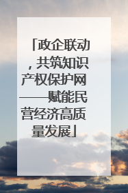 政企联动，共筑知识产权保护网——赋能民营经济高质量发展