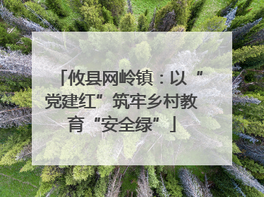 攸县网岭镇：以“党建红”筑牢乡村教育“安全绿”