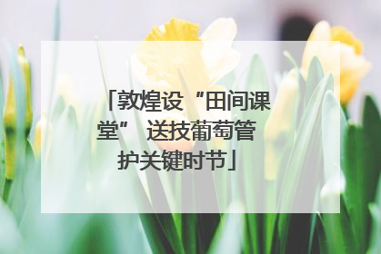 敦煌设“田间课堂” 送技葡萄管护关键时节