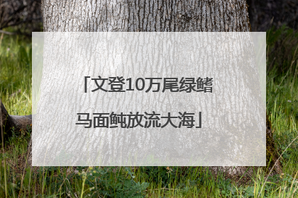 文登10万尾绿鳍马面鲀放流大海