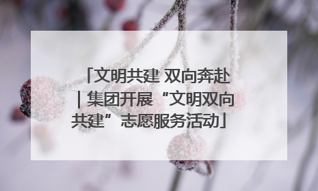 文明共建 双向奔赴｜集团开展“文明双向共建”志愿服务活动