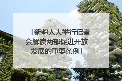 新疆人大举行记者会解读两部促进开放发展的重要条例