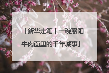 新华走笔丨一碗襄阳牛肉面里的千年城事