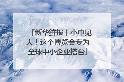 新华鲜报丨小中见大！这个博览会专为全球中小企业搭台