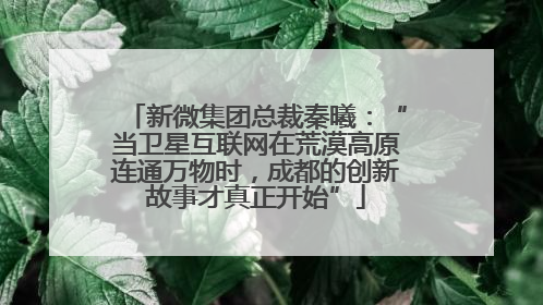 新微集团总裁秦曦：“当卫星互联网在荒漠高原连通万物时，成都的创新故事才真正开始”