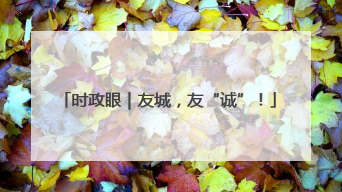 时政眼｜友城，友“诚”！