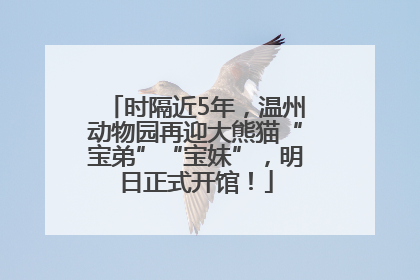 时隔近5年，温州动物园再迎大熊猫“宝弟”“宝妹”，明日正式开馆！