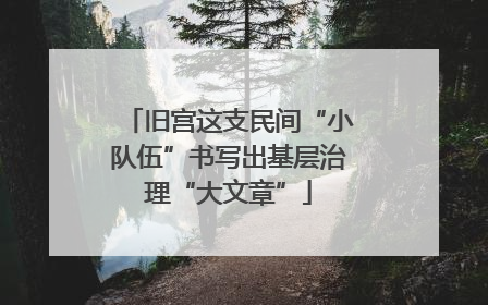 旧宫这支民间“小队伍”书写出基层治理“大文章”