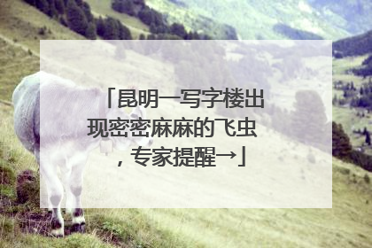 昆明一写字楼出现密密麻麻的飞虫，专家提醒→