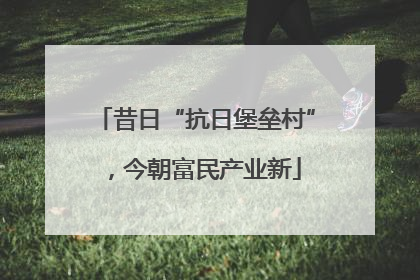 昔日“抗日堡垒村”，今朝富民产业新