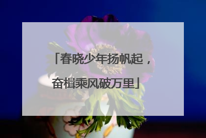 春晓少年扬帆起，奋楫乘风破万里