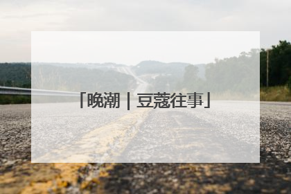 晚潮｜豆蔻往事