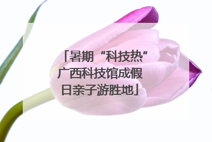 暑期“科技热” 广西科技馆成假日亲子游胜地