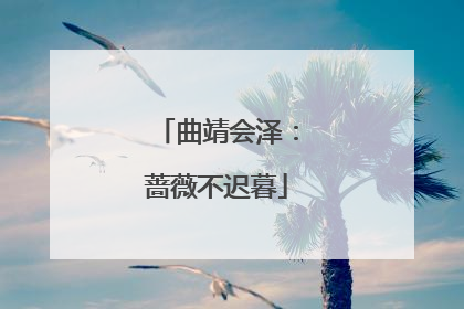 曲靖会泽：蔷薇不迟暮