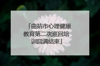 曲靖市心理健康教育第二次巡回培训圆满结束
