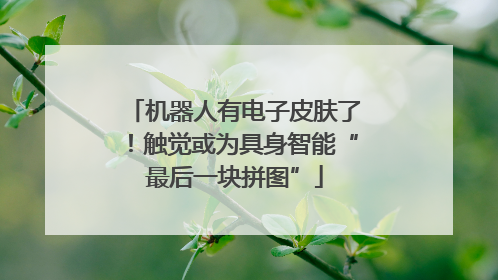 机器人有电子皮肤了！触觉或为具身智能“最后一块拼图”
