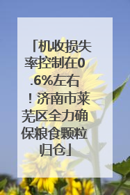 机收损失率控制在0.6%左右！济南市莱芜区全力确保粮食颗粒归仓