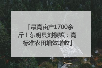 最高亩产1700余斤！东明县刘楼镇：高标准农田增效增收