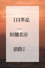 月季花扮靓北京道路