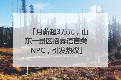 月薪超3万元，山东一景区招募语言类NPC，引发热议