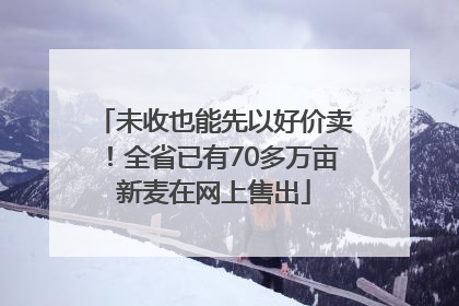 未收也能先以好价卖！全省已有70多万亩新麦在网上售出