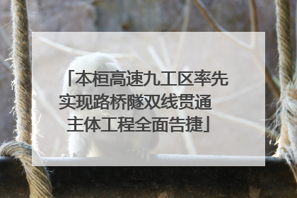 本桓高速九工区率先实现路桥隧双线贯通 主体工程全面告捷