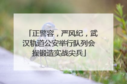 正警容，严风纪，武汉轨道公安举行队列会操锻造实战尖兵