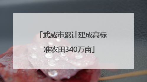 武威市累计建成高标准农田340万亩