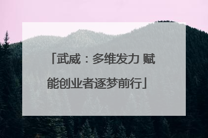 武威：多维发力 赋能创业者逐梦前行